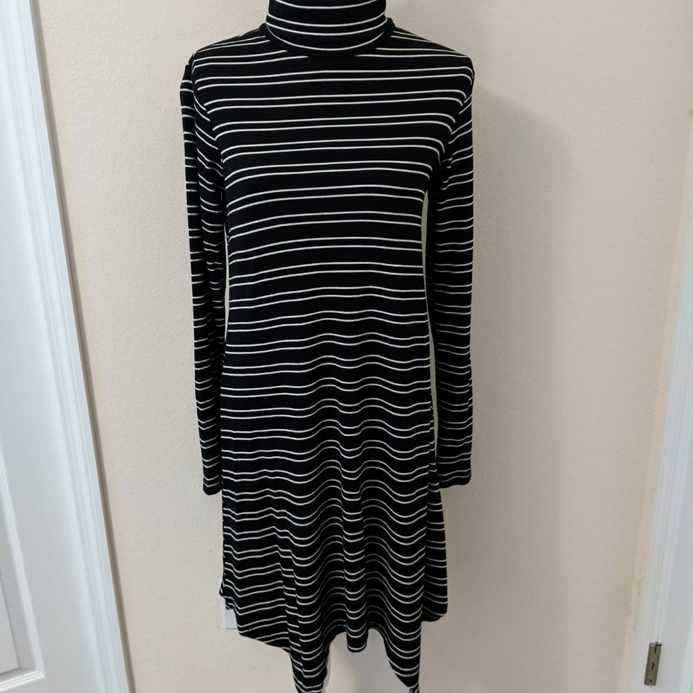 Mossimo Long Sleeve Turtleneck Dress